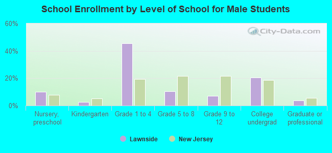 School Enrollment by Level of School for Male Students