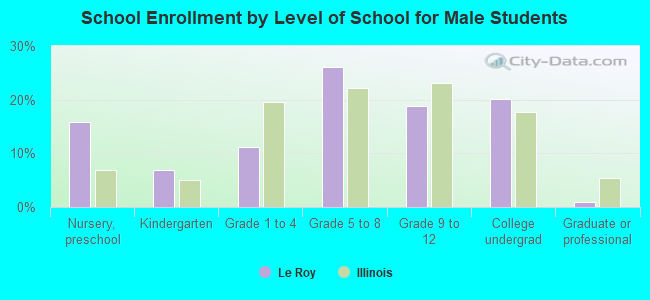 School Enrollment by Level of School for Male Students