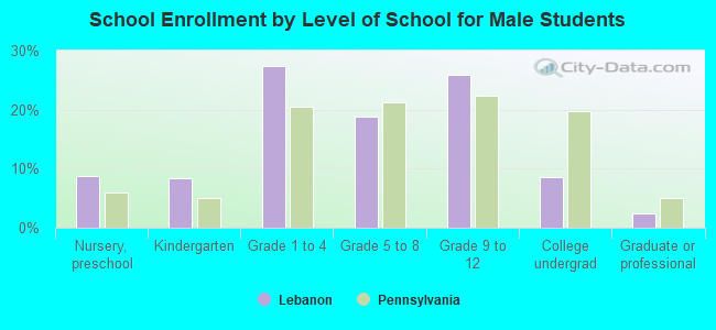 School Enrollment by Level of School for Male Students