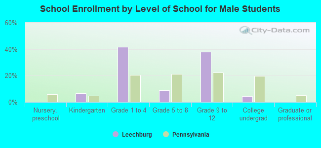 School Enrollment by Level of School for Male Students