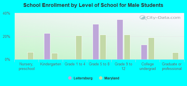 School Enrollment by Level of School for Male Students