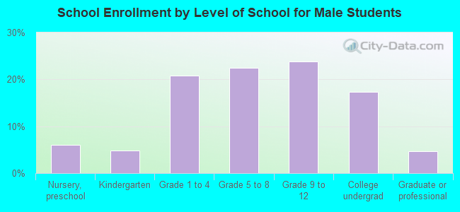 School Enrollment by Level of School for Male Students