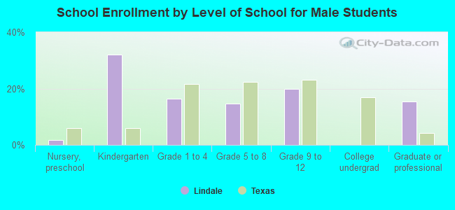 School Enrollment by Level of School for Male Students