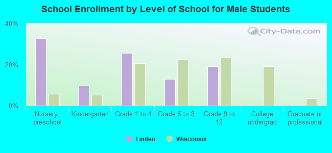 School Enrollment by Level of School for Male Students