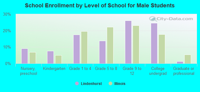 School Enrollment by Level of School for Male Students