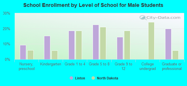 School Enrollment by Level of School for Male Students