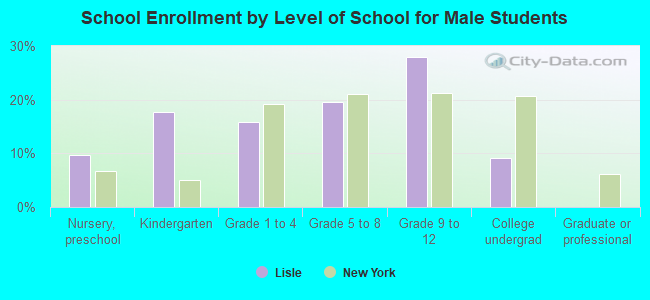 School Enrollment by Level of School for Male Students