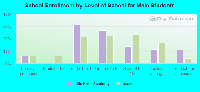 School Enrollment by Level of School for Male Students