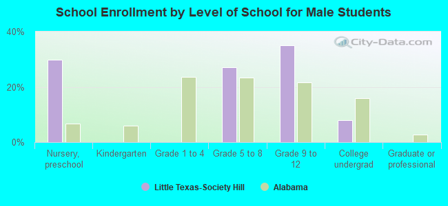 School Enrollment by Level of School for Male Students