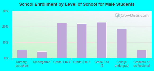 School Enrollment by Level of School for Male Students