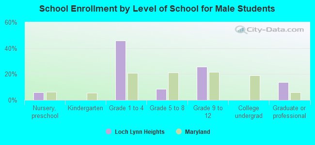 School Enrollment by Level of School for Male Students