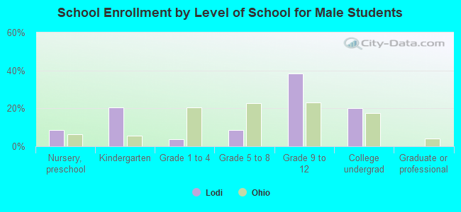 School Enrollment by Level of School for Male Students