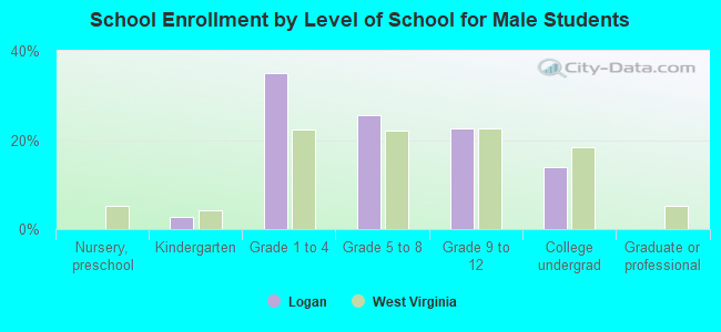 School Enrollment by Level of School for Male Students