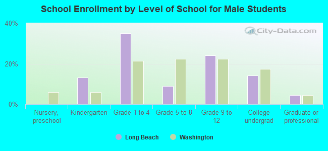 School Enrollment by Level of School for Male Students