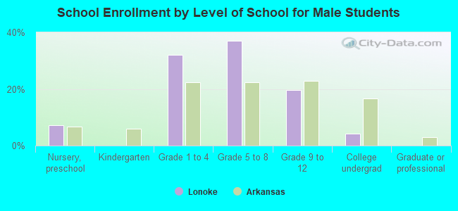 School Enrollment by Level of School for Male Students