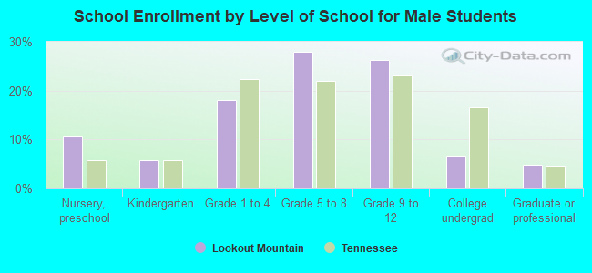 School Enrollment by Level of School for Male Students