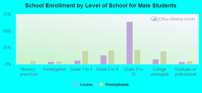 School Enrollment by Level of School for Male Students