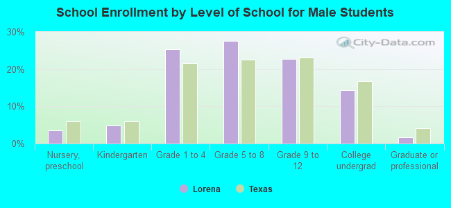 School Enrollment by Level of School for Male Students