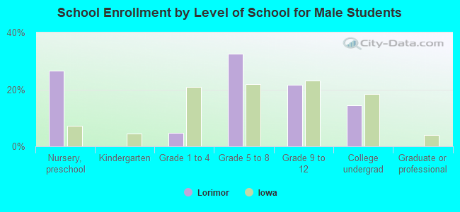 School Enrollment by Level of School for Male Students