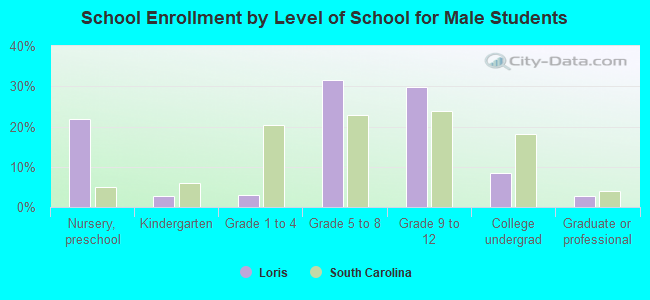 School Enrollment by Level of School for Male Students