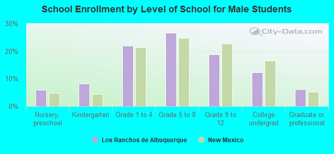 School Enrollment by Level of School for Male Students