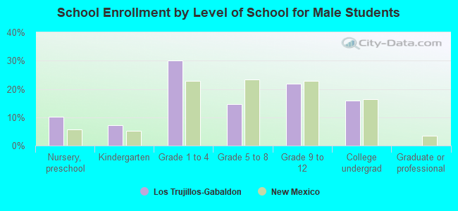 School Enrollment by Level of School for Male Students