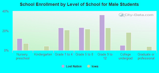 School Enrollment by Level of School for Male Students