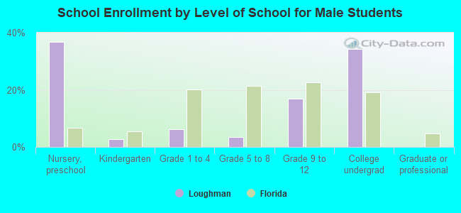 School Enrollment by Level of School for Male Students