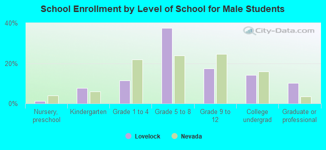 School Enrollment by Level of School for Male Students