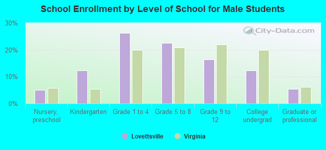 School Enrollment by Level of School for Male Students