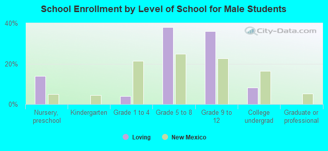 School Enrollment by Level of School for Male Students