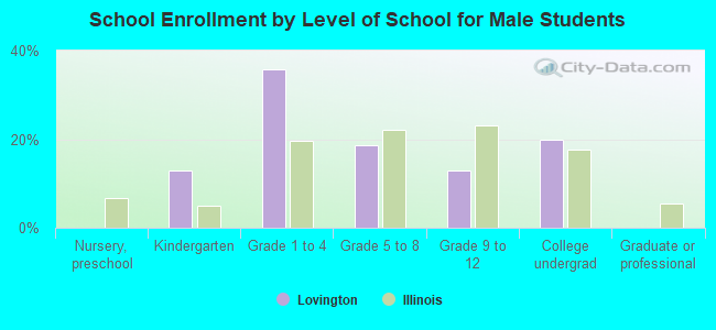 School Enrollment by Level of School for Male Students