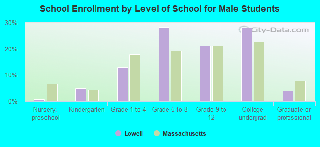 School Enrollment by Level of School for Male Students