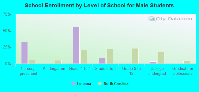 School Enrollment by Level of School for Male Students