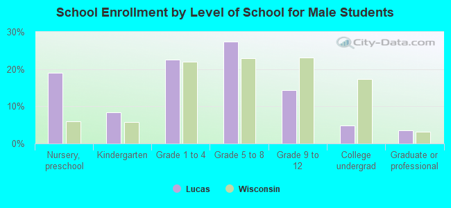 School Enrollment by Level of School for Male Students