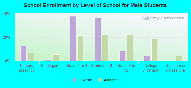 School Enrollment by Level of School for Male Students