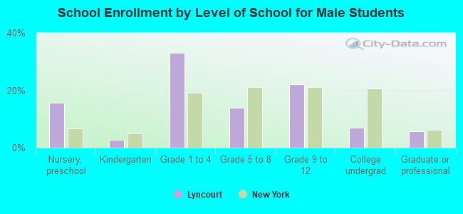 School Enrollment by Level of School for Male Students