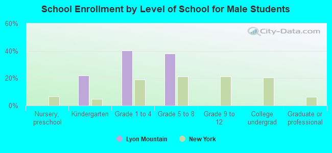 School Enrollment by Level of School for Male Students