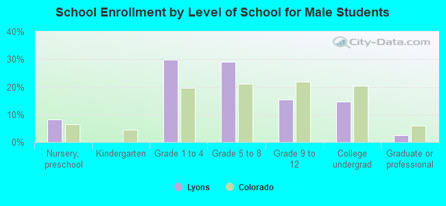 School Enrollment by Level of School for Male Students