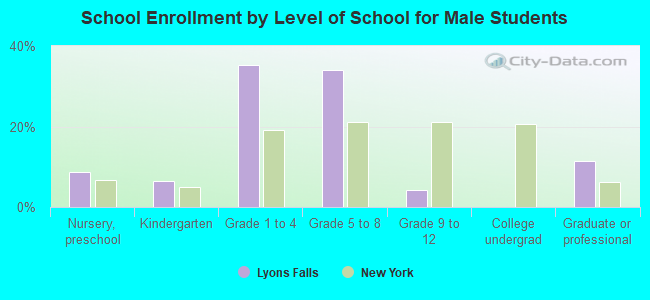 School Enrollment by Level of School for Male Students