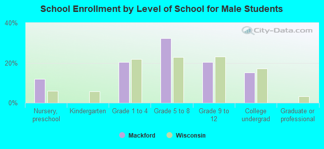 School Enrollment by Level of School for Male Students