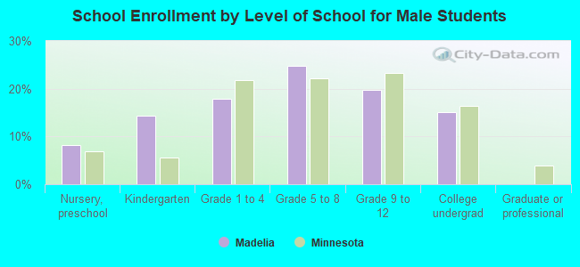 School Enrollment by Level of School for Male Students