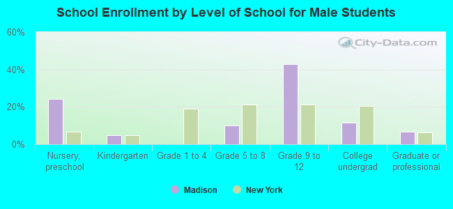 School Enrollment by Level of School for Male Students