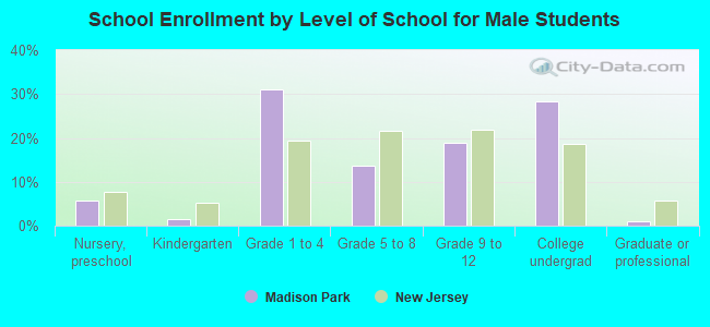 School Enrollment by Level of School for Male Students