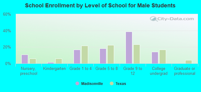 School Enrollment by Level of School for Male Students