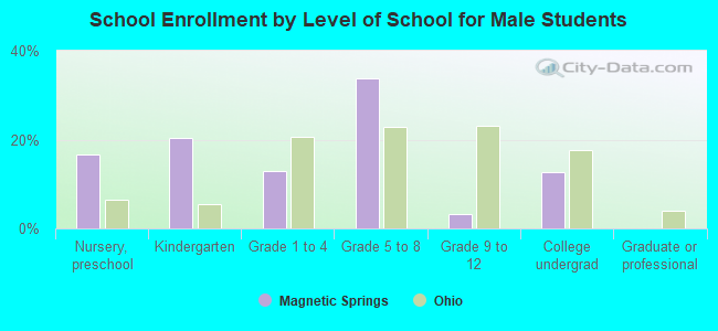 School Enrollment by Level of School for Male Students