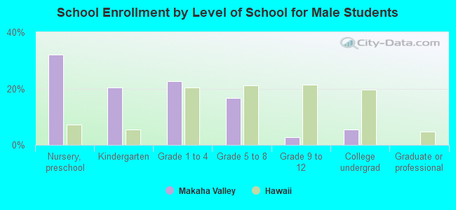 School Enrollment by Level of School for Male Students