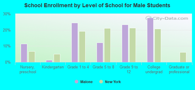 School Enrollment by Level of School for Male Students