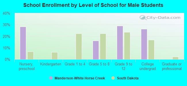 School Enrollment by Level of School for Male Students