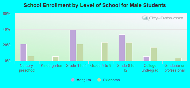 School Enrollment by Level of School for Male Students